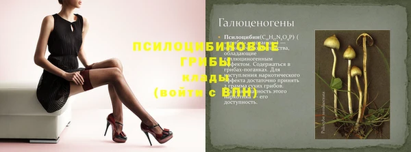 хмурый Корсаков