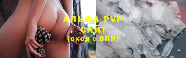 ПСИЛОЦИБИНОВЫЕ ГРИБЫ Краснотурьинск
