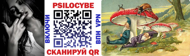 Псилоцибиновые грибы мицелий blacksprut онион Михайловка