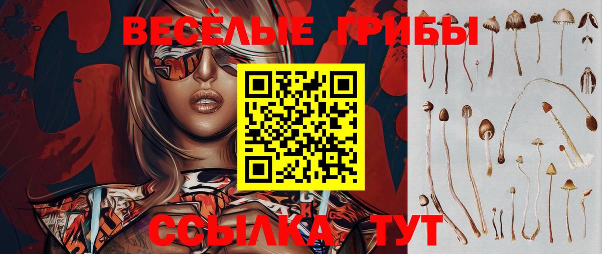 Галлюциногенные грибы мицелий Михайловка